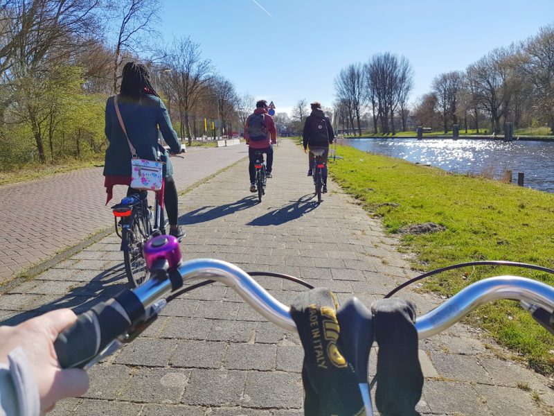 Cycling through the Dutch countryside