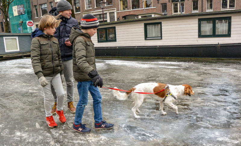 Walking a dog on a frozen canal