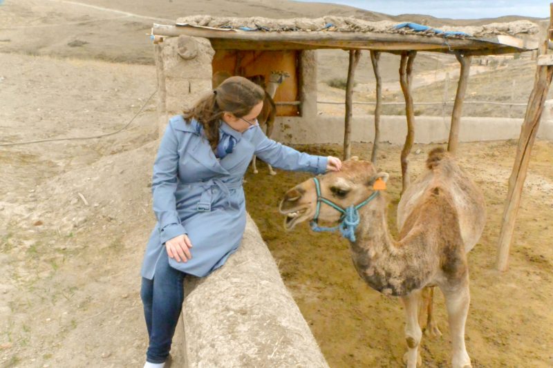Jessica petting a camel