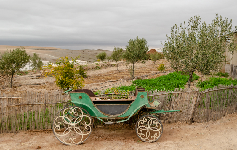 deserts scenes