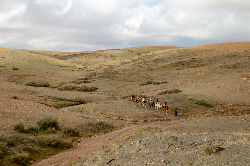 group in the desert