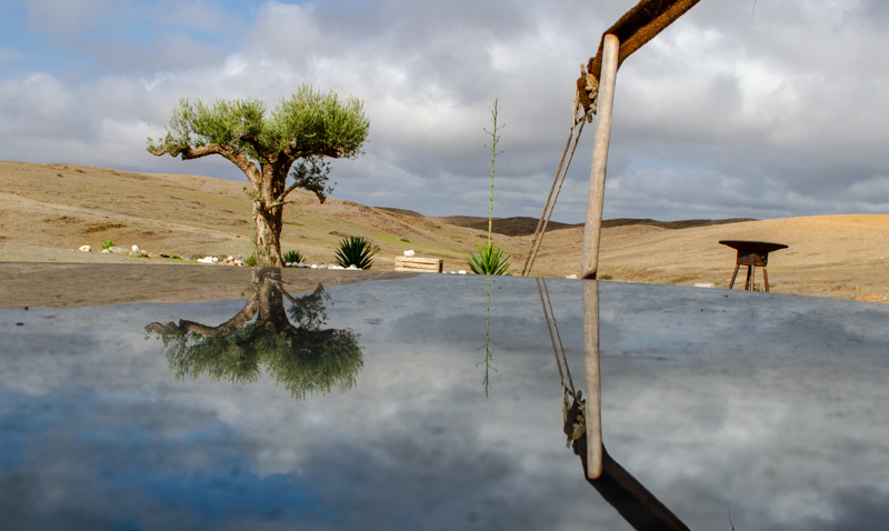pool in the desert