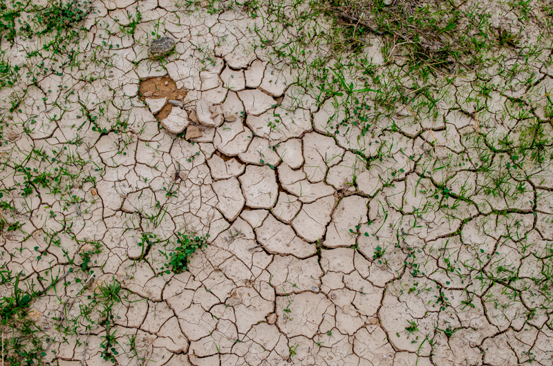 terre des etoiles ground