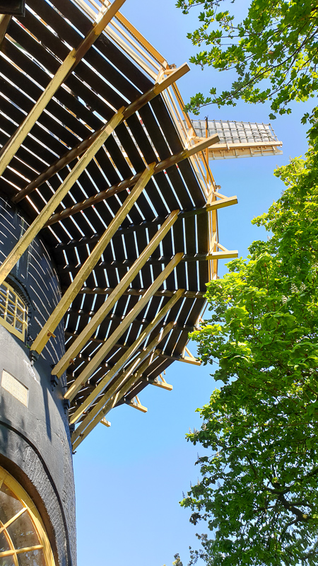 Windmill in Woerden