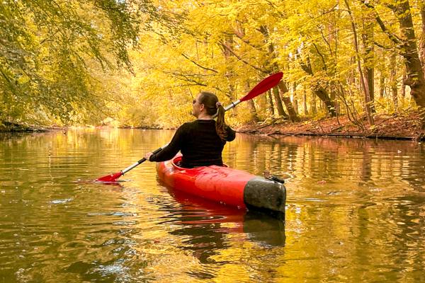 woman in red kayak on a canal under a yellow fall foliage